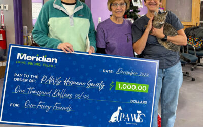 Making a Difference: Our Fundraiser for PAWS Humane Society